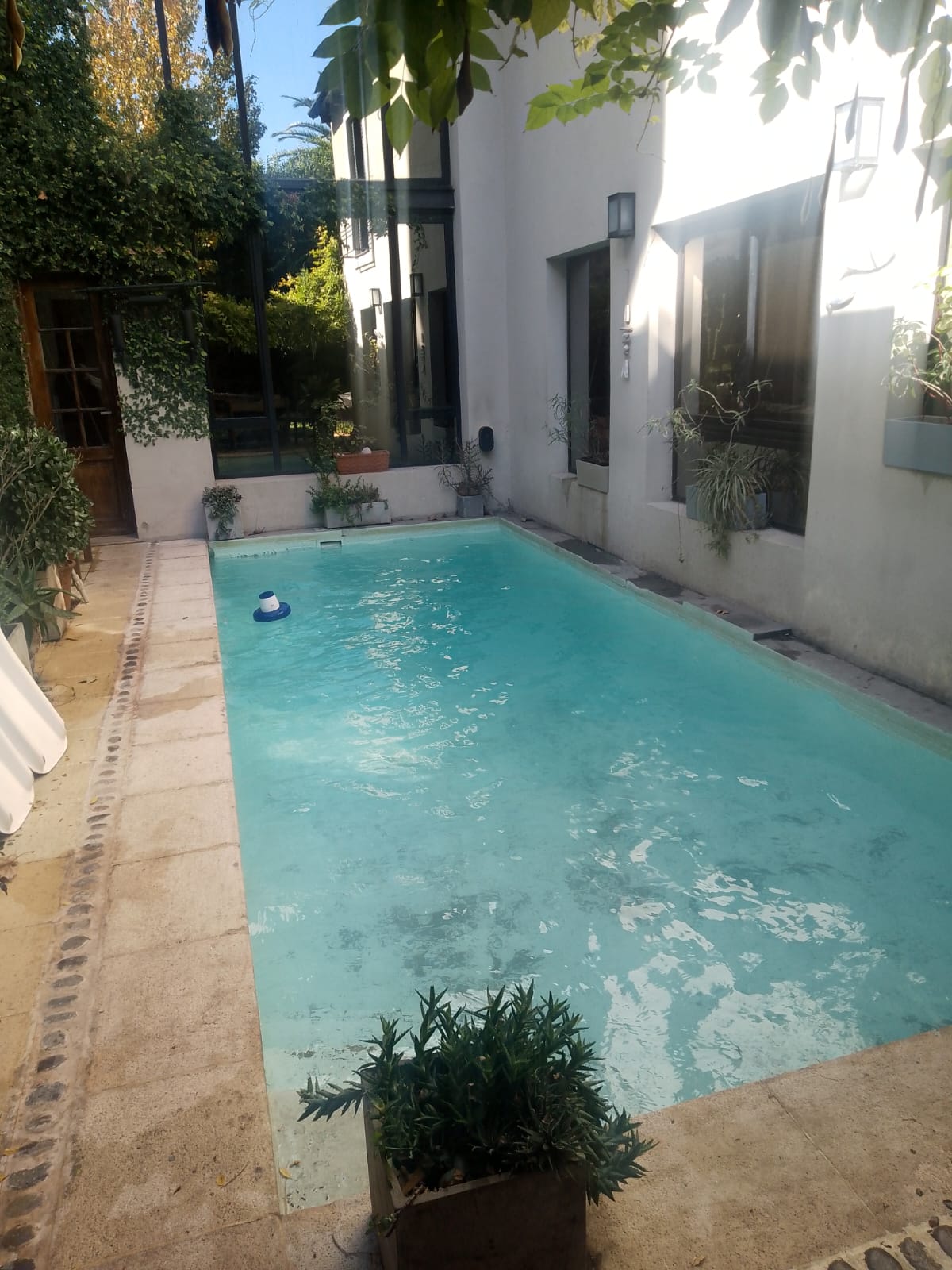 Piscina de patio con agua clara y vegetación